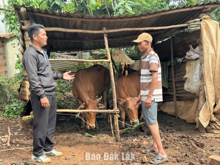 Trao sinh kế, tiếp sức người dân vươn lên