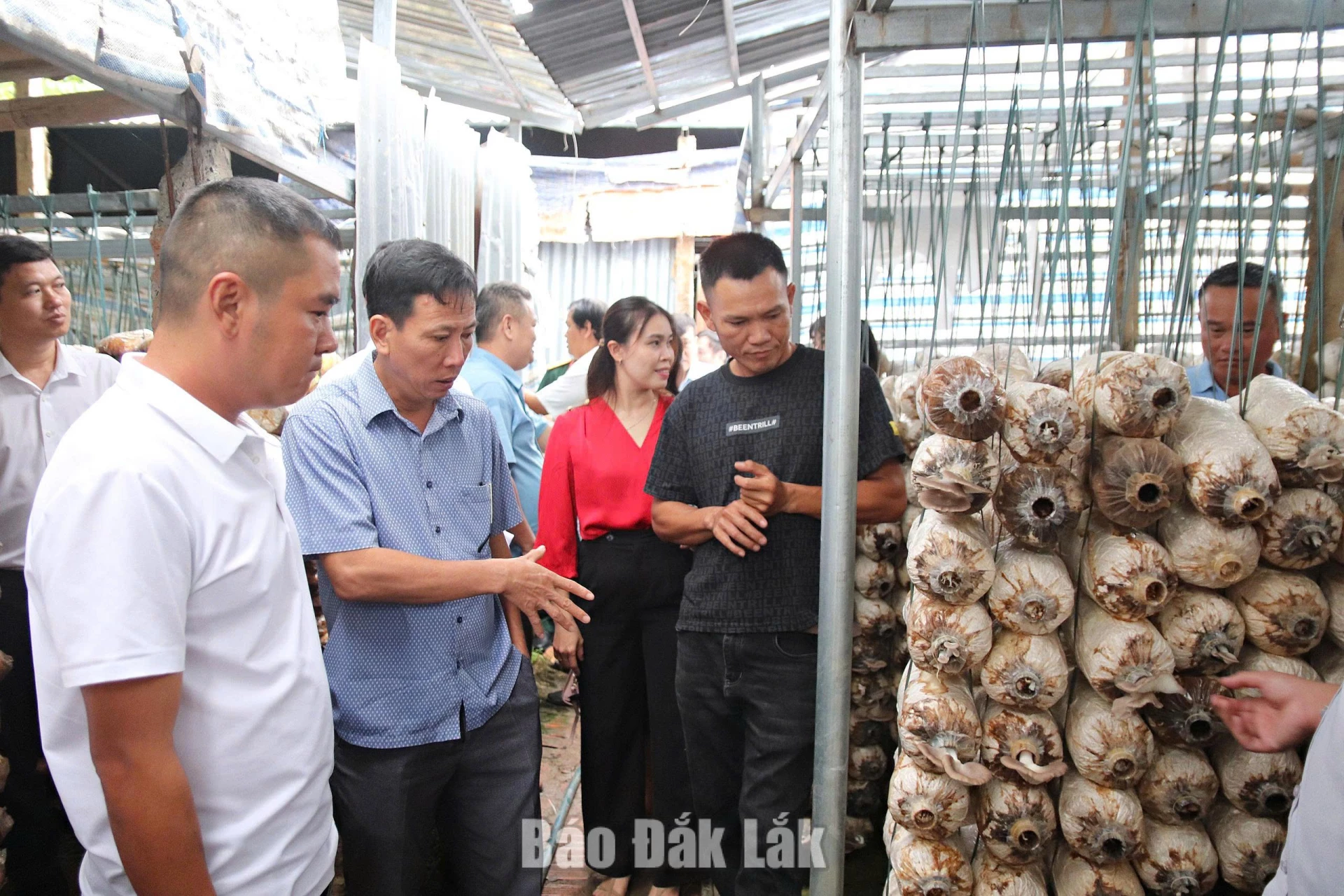 Đại biểu tham quan mô hình sản xuất nấm
