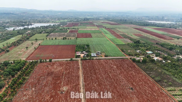 Người dân đồng thuận việc thu hồi đất thực hiện Dự án Cụm công nghiệp Krông Năng