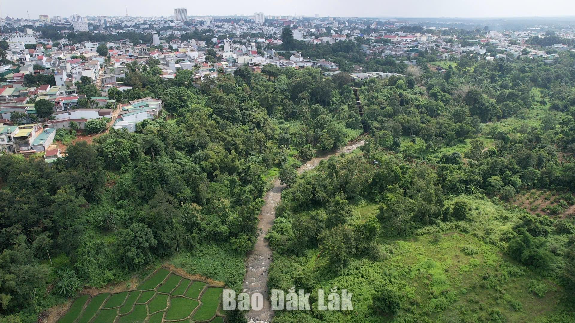 Suối Ea Tam có vai trò quan trọng trong thoát nước đô thị Buôn Ma Thuột.