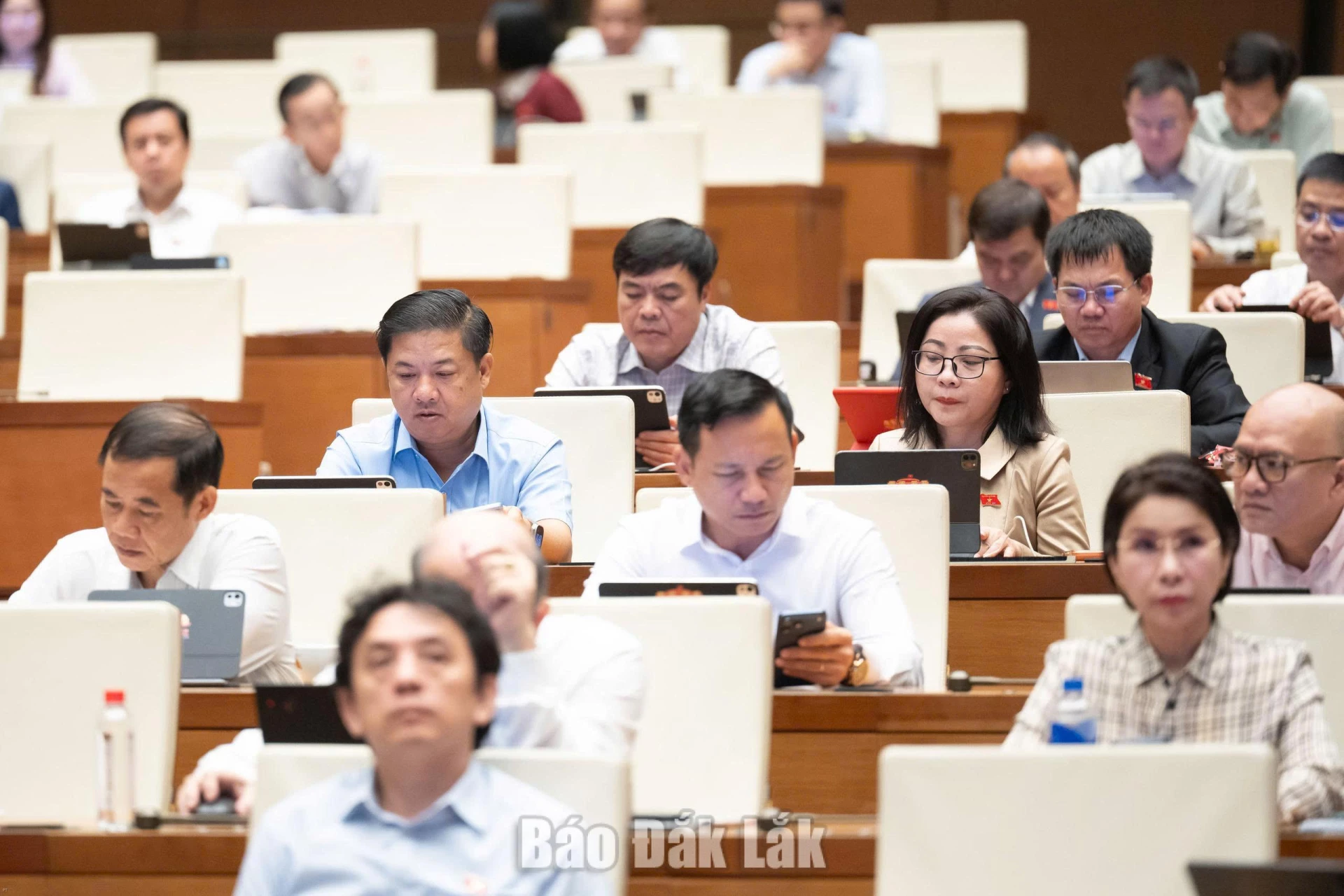 Các đại biểu tham dự phiên làm việc. Ảnh: Đoàn ĐBQH tỉnh cung cấp