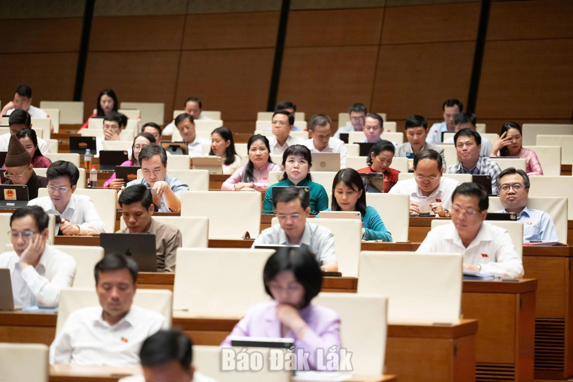 Các đại biểu tham dự phiên làm việc. Ảnh: Đoàn ĐBQH tỉnh cung cấp