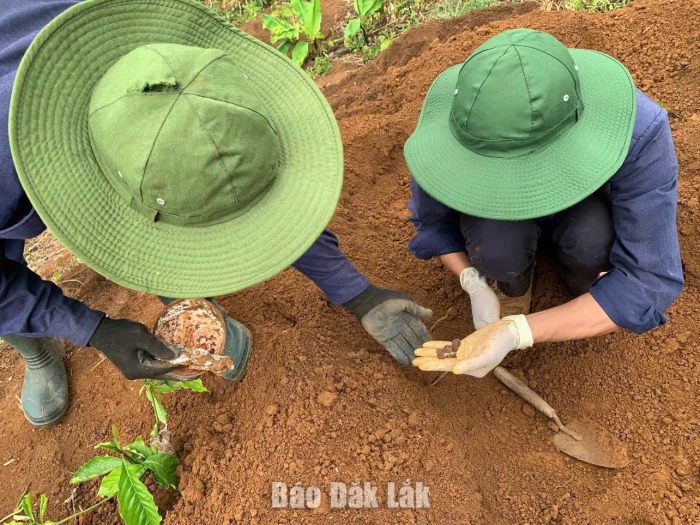 Các lực lượng tham gia tìm kiếm mộ liệt sĩ trên địa bàn huyện