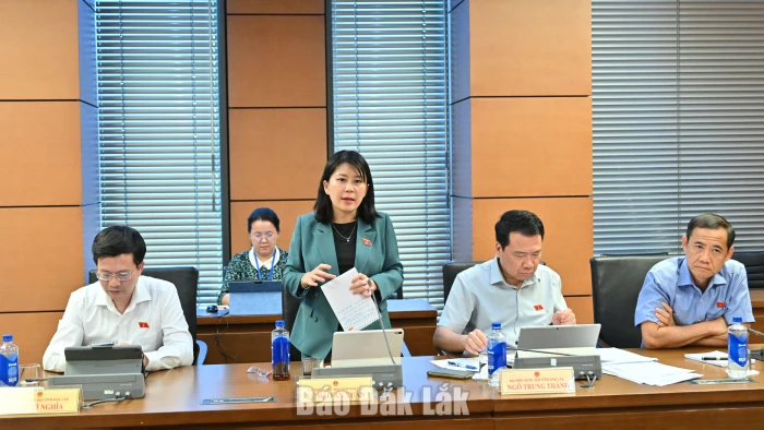Đại biểu Lê Đào An Xuân, Phó Trưởng đoàn chuyên trách Đoàn ĐBQH tỉnh phát biểu thảo luận. Ảnh: Đoàn ĐBQH tỉnh cung cấp