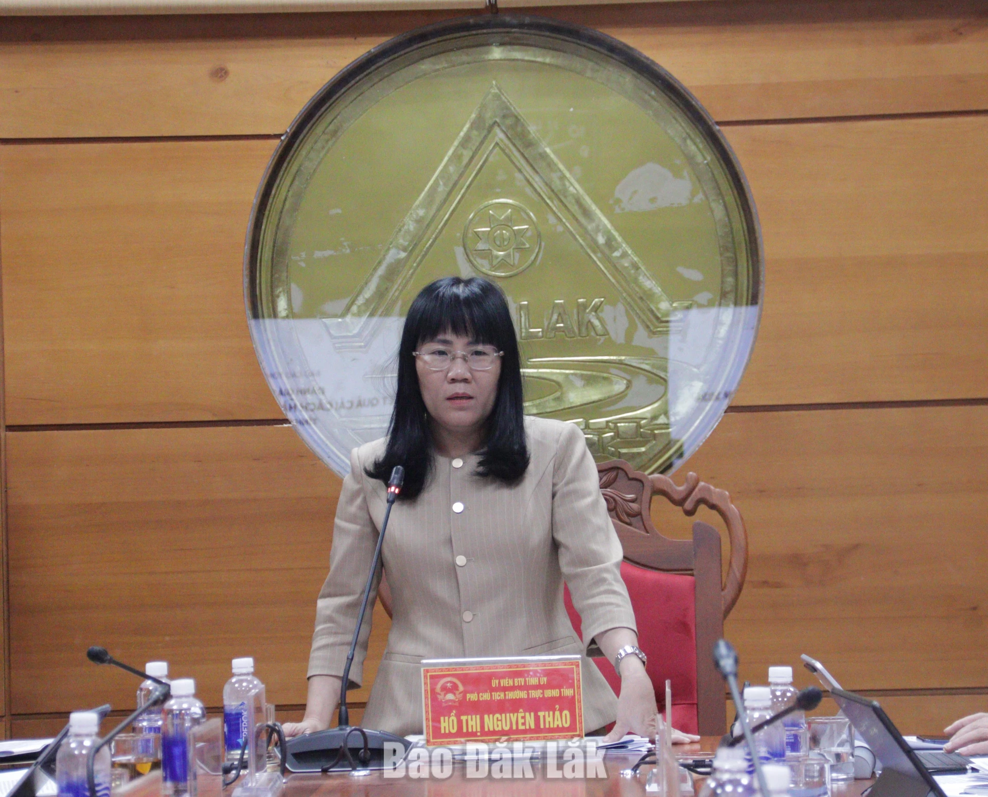 Đồng chí Hồ Thị Nguyên Thảo, Ủy viên Ban Thường vụ Tỉnh ủy, Phó Chủ tịch Thường trực UBND tỉnh phát biểu chỉ đạo cuộc họp