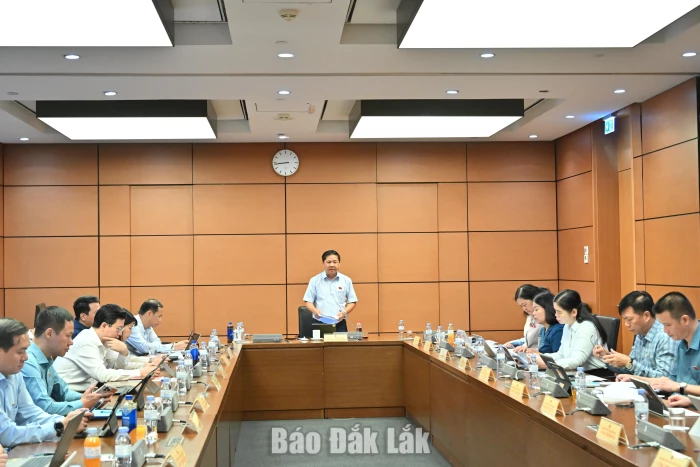 ĐBQH tỉnh Đắk Lắk góp ý các dự thảo luật về đấu giá tài sản, luật sư, nuôi con nuôi