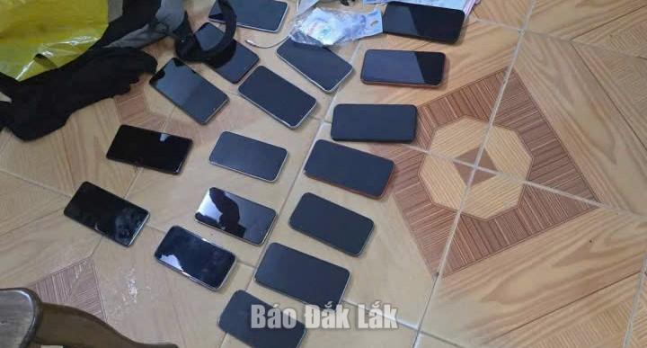 Các tang vật tại thời điểm kiểm tra.