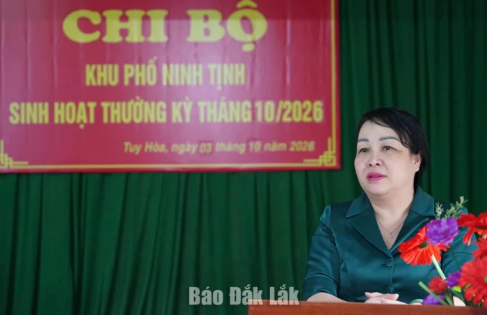 Phó Bí thư Thường trực Tỉnh ủy Cao Thị Hòa An dự sinh hoạt chi bộ khu phố Ninh Tịnh