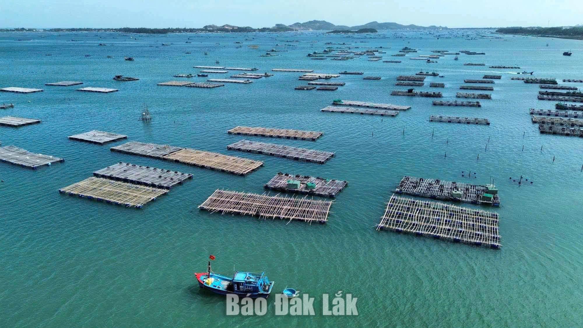 Dak Lak focusing on attracting investment, prioritising marine aquaculture projects using modern technology.