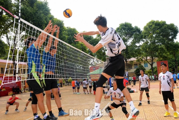 Giải bài toán về thể hình của vận động viên