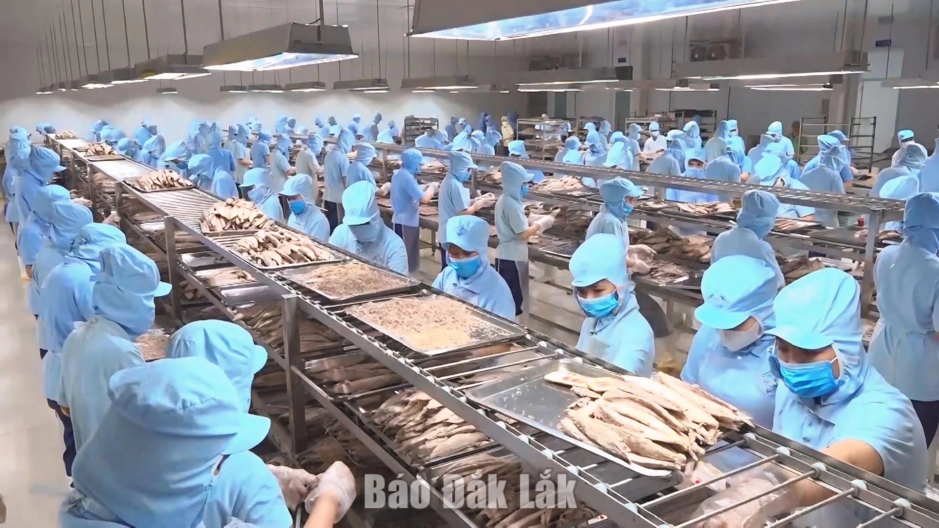 Phát triển công nghiệp chế biến sâu là một trong những nhiệm vụ trọng tâm được tỉnh định hướng phát triển trong thời gian tới.