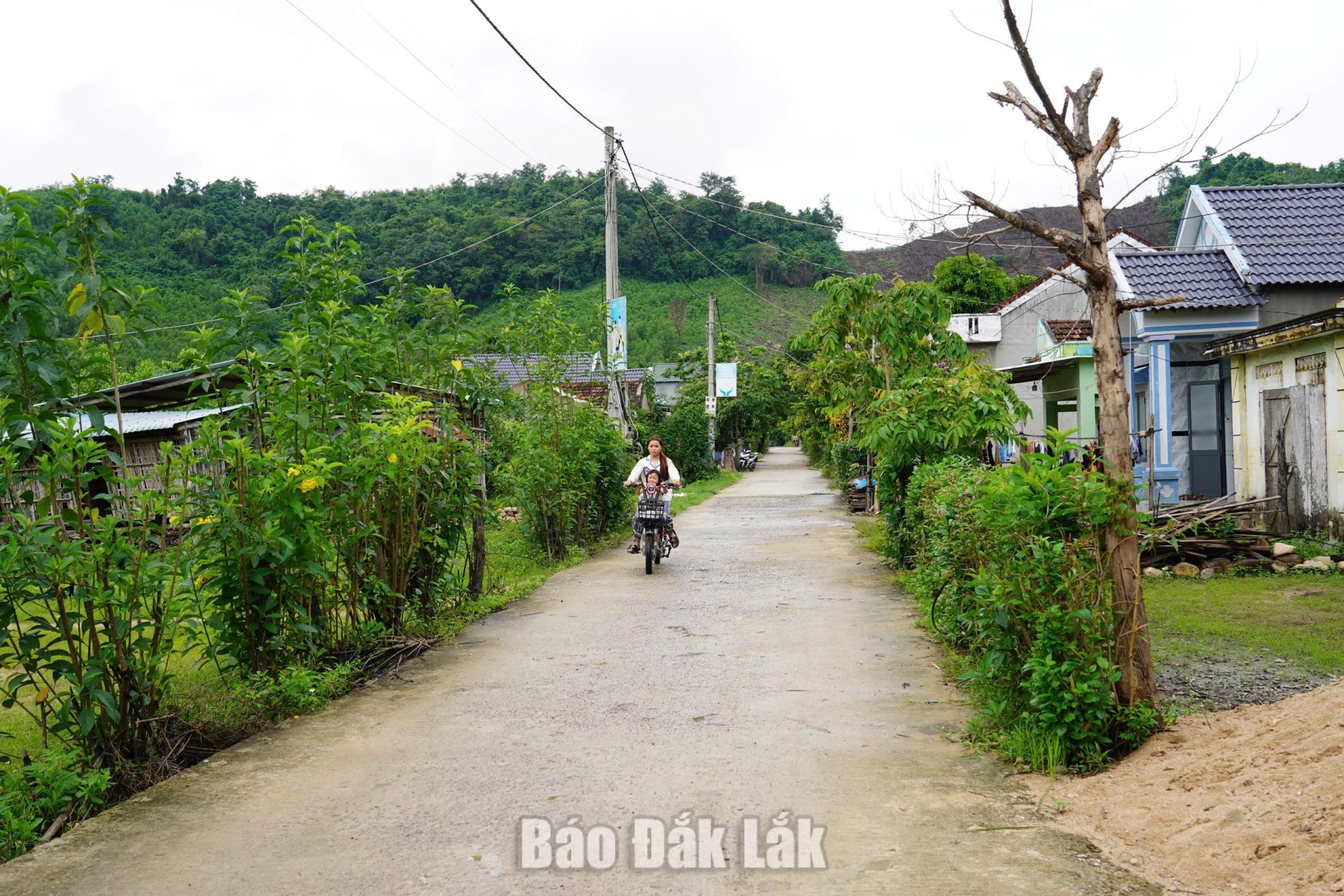 Nhiều tuyến đường tại thôn Phú Giang được đầu tư nâng cấp, giúp người dân đi lại thuận tiên. Ảnh: T.Hương