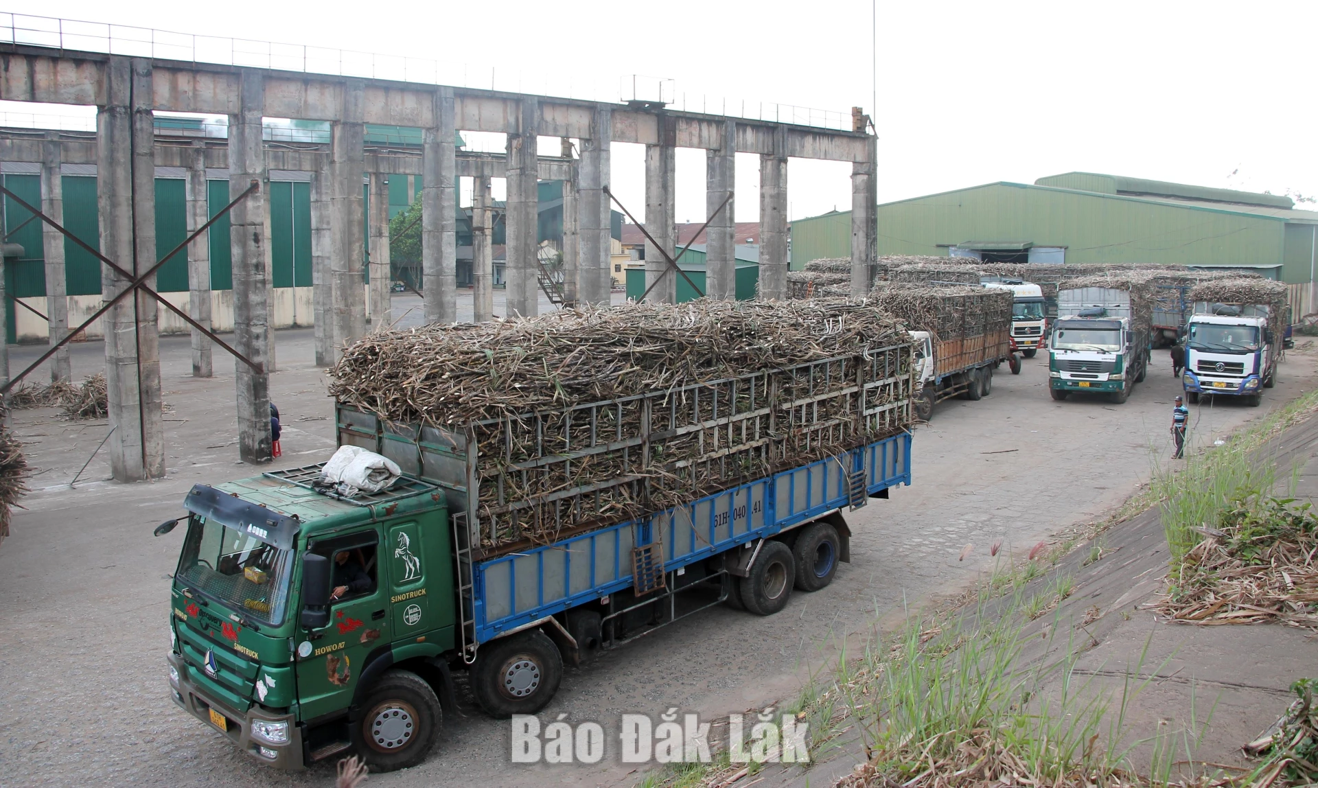 Hoạt động sản xuất, chế biến mía ổn định tại Công ty Cổ phần Mía đường 333 (xã Ea Knốp) góp phần tăng thu cho ngân sách xã. 
