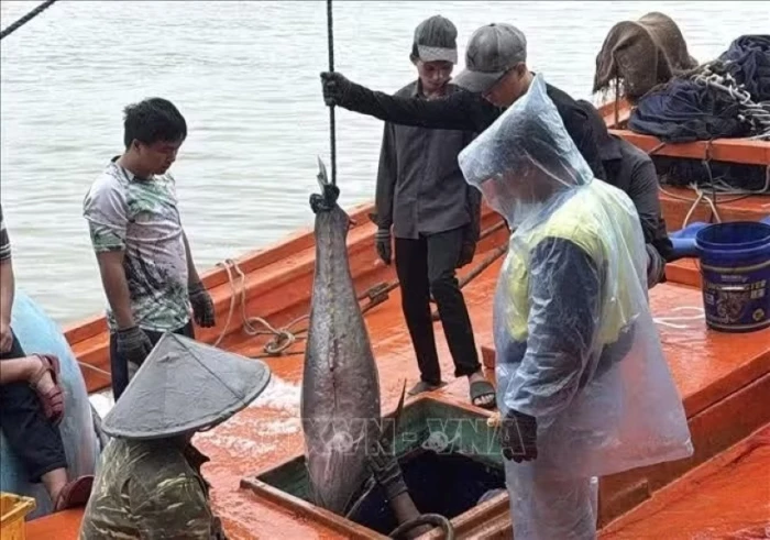 Dak Lak fishermen enhance preparedness for rough-sea fishing, IUU fishing combat