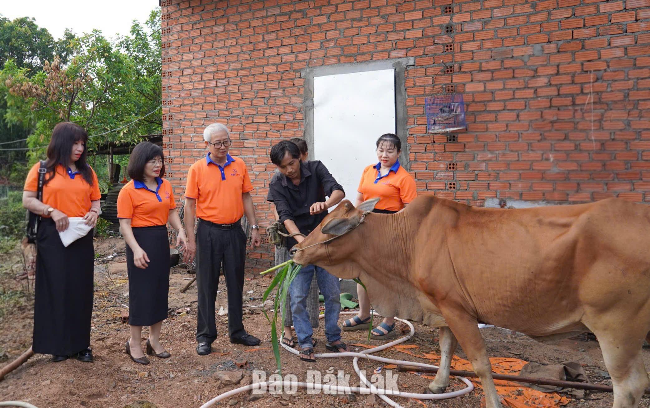 Ban Nữ công Công ty Điện lực Đắk Lắ k trao bê giống cho gia đình chị Hà Thị Mỹ Dung.