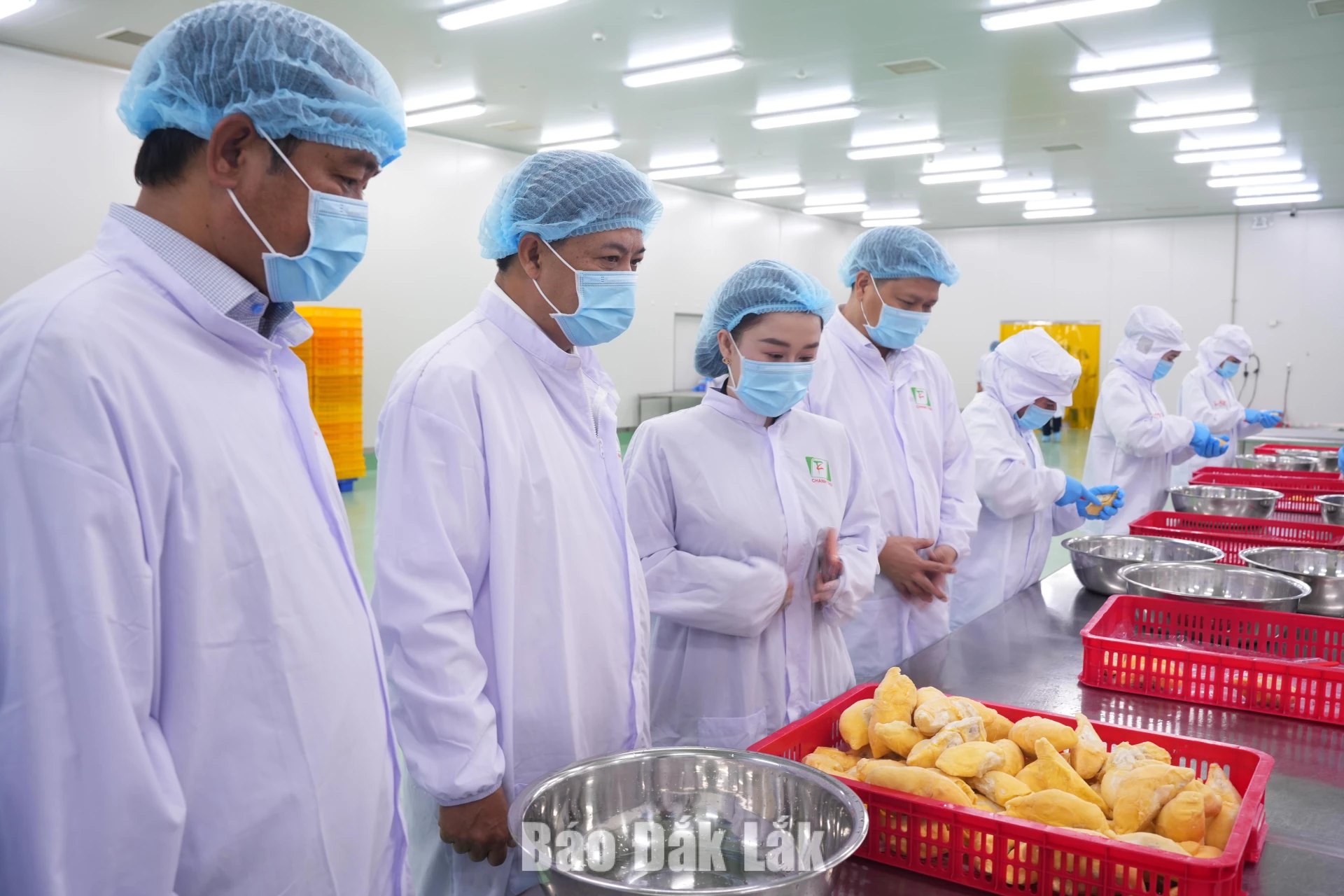 Bí thư Tỉnh ủy Lương Nguyễn Minh Triết cùng đoàn công tác tham quan khu vực tiếp nhận nguyên liệu, dây chuyền sơ chế, đóng gói, hệ thống kho lạnh và quy trình chế biến sầu riêng phục vụ xuất khẩu của Công ty Cổ phần Tập đoàn Xuất nhập khẩu Trái cây Chánh Thu.