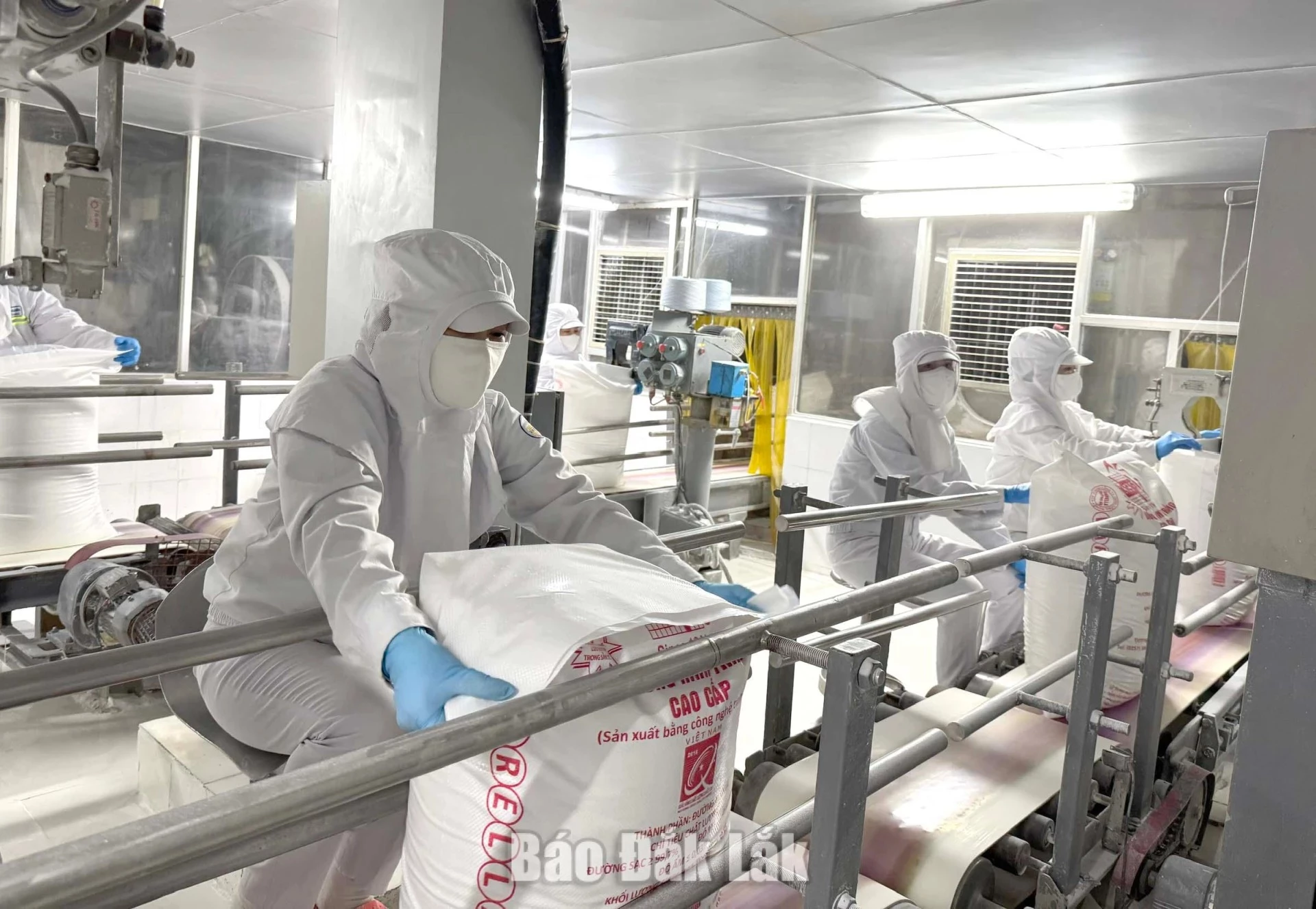 Workers at KCP Vietnam Industrial Co., Ltd.