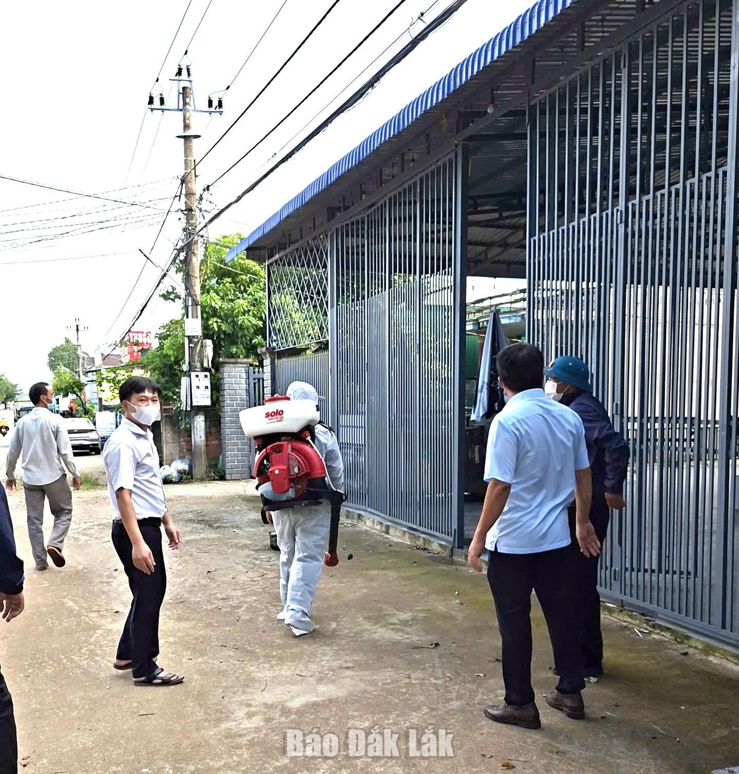 Cùng với việc phun thuốc, 