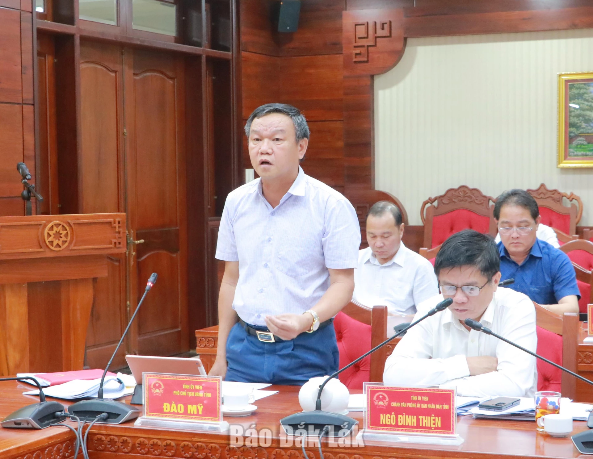 Phó Chủ tịch UBND tỉnh Đào Mỹ phát biểu chỉ đạo tại cuộc họp.