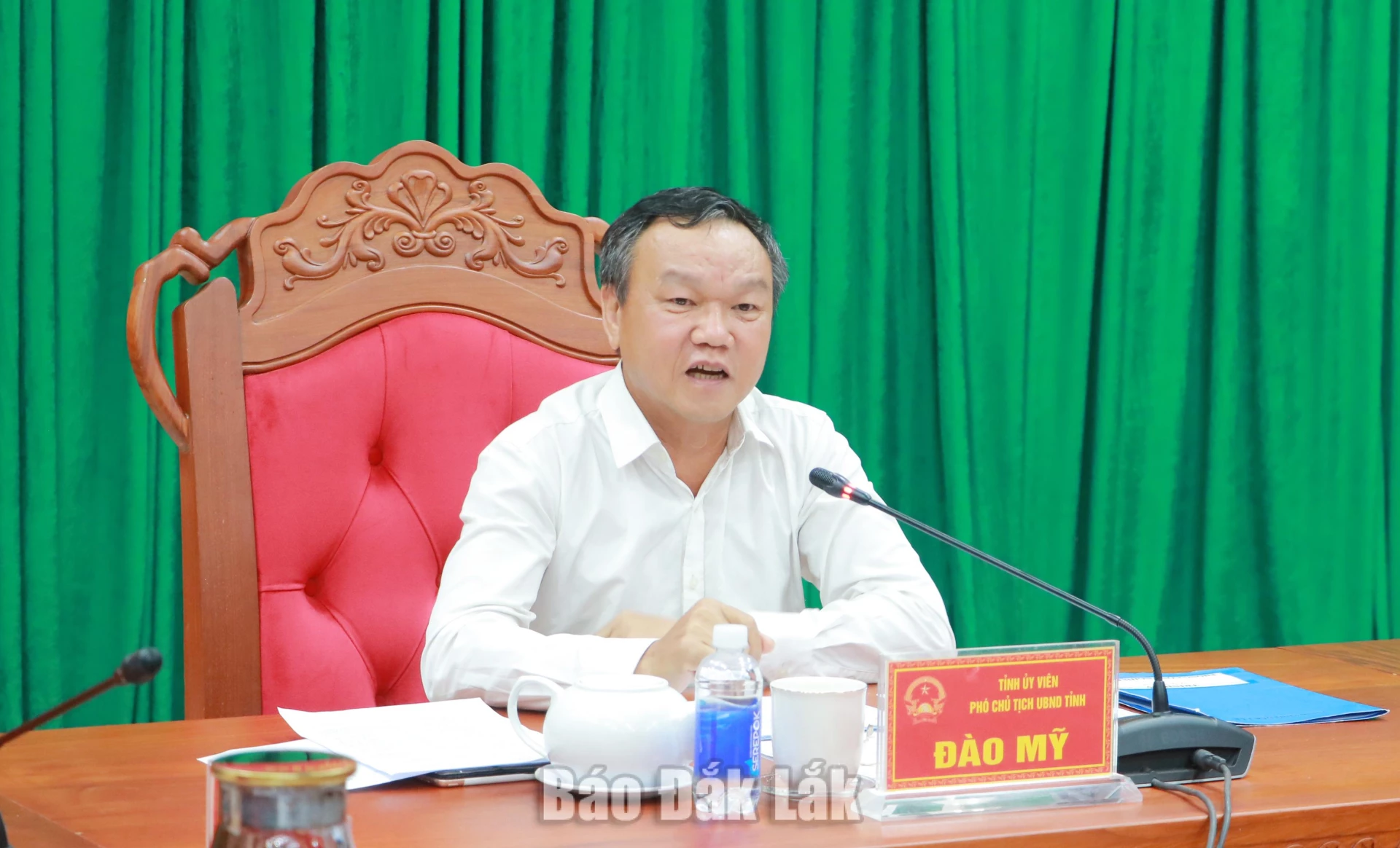 Phó Chủ tịch UBND tỉnh Đào Mỹ