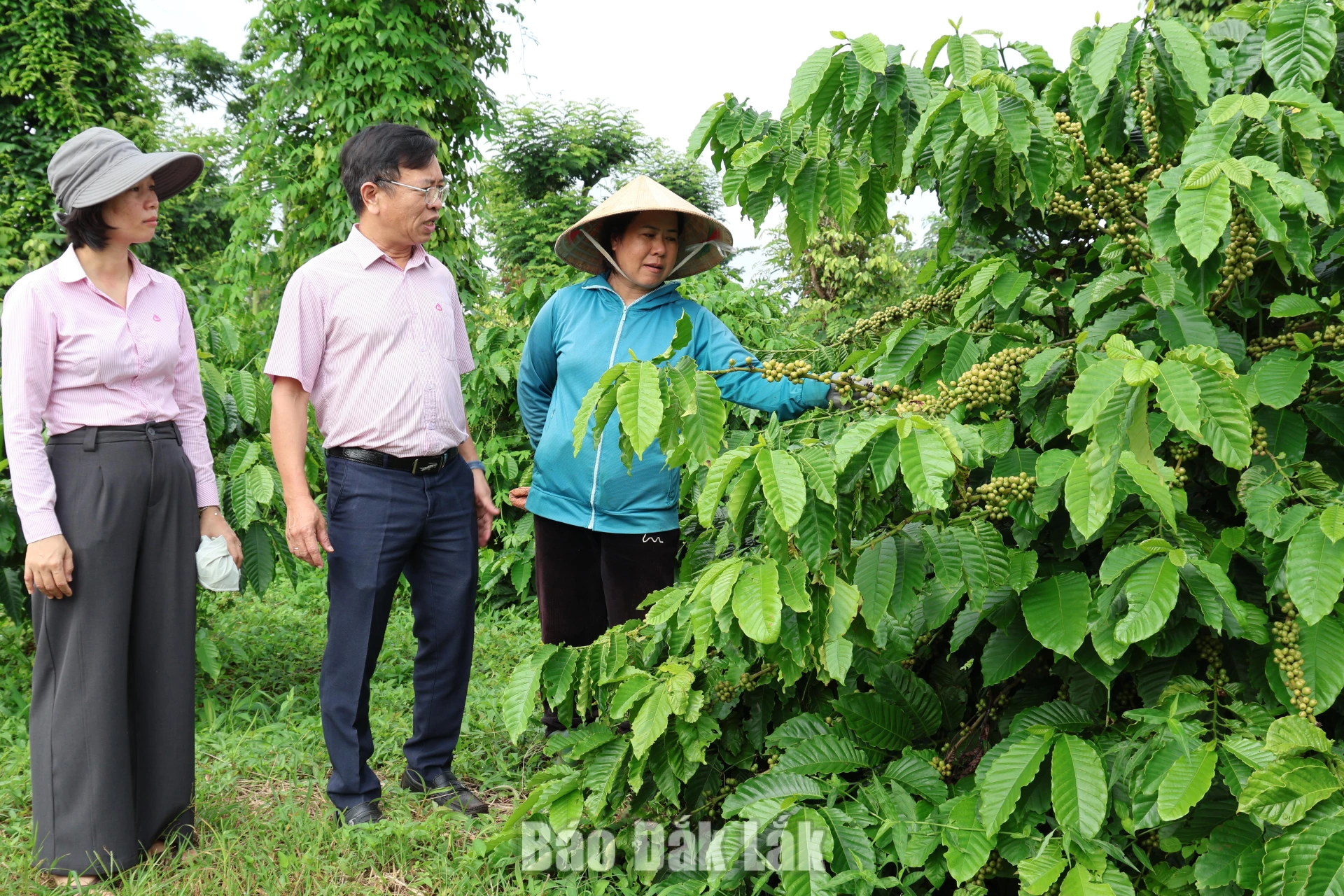 Cán bộ Phòng giao dịch Ngân hàng Chính sách xã hội Cư Kuin kiểm tra thực tế sử dụng vốn của hộ vay.