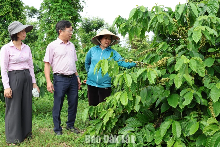 Huy động nguồn lực cho tín dụng chính sách xã hội