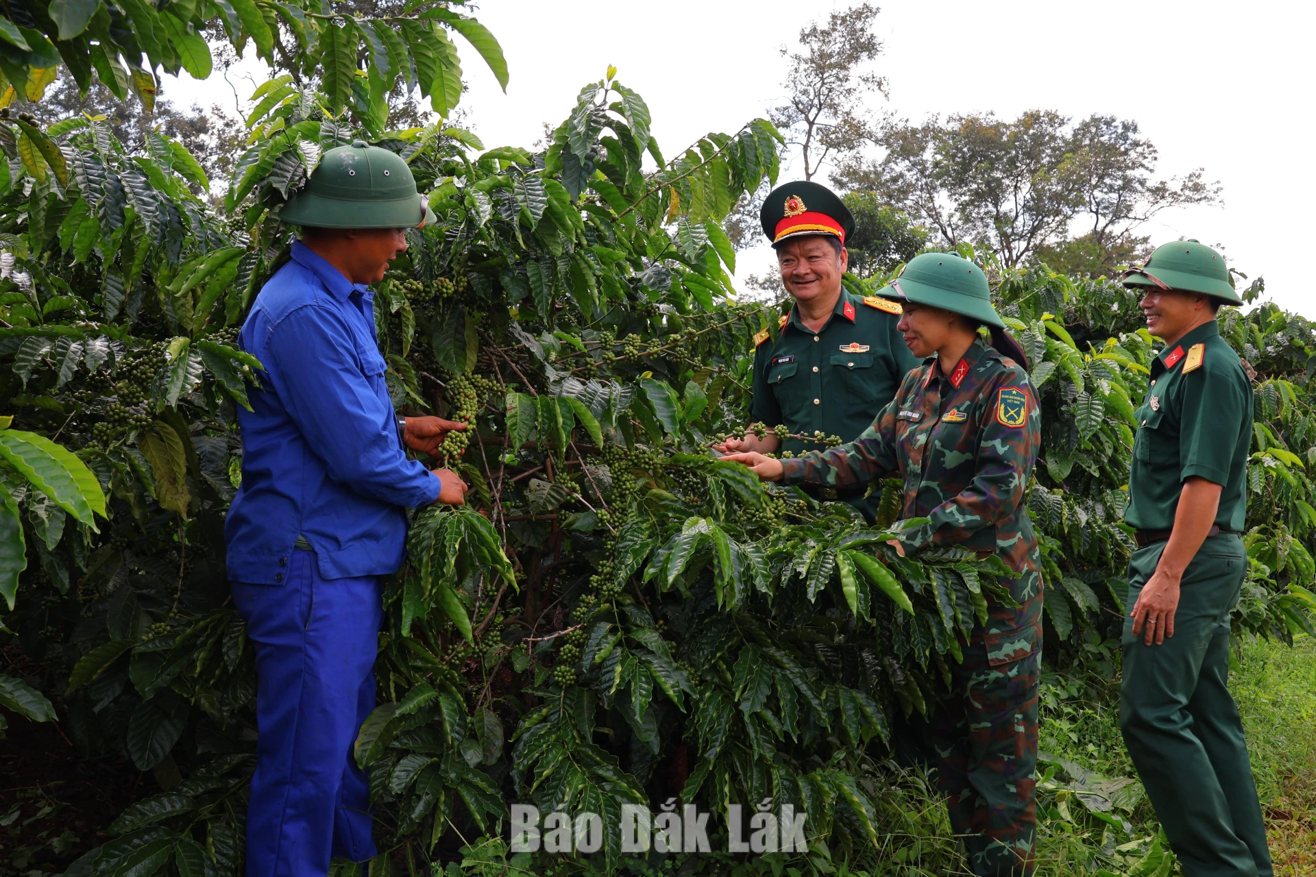 Đại tá Phạm Phú Châu (thứ ba, từ phải sang) thăm, kiểm tra vườn trồng. 