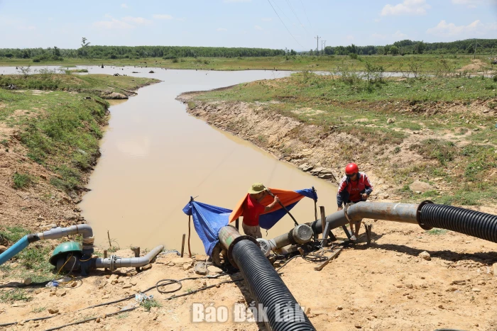 Chủ động triển khai từ sớm, từ xa các giải pháp ứng phó thiên tai do El Nino