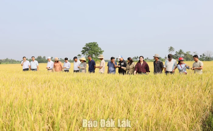 Bảo vệ môi trường - Nền tảng và động lực để phát triển