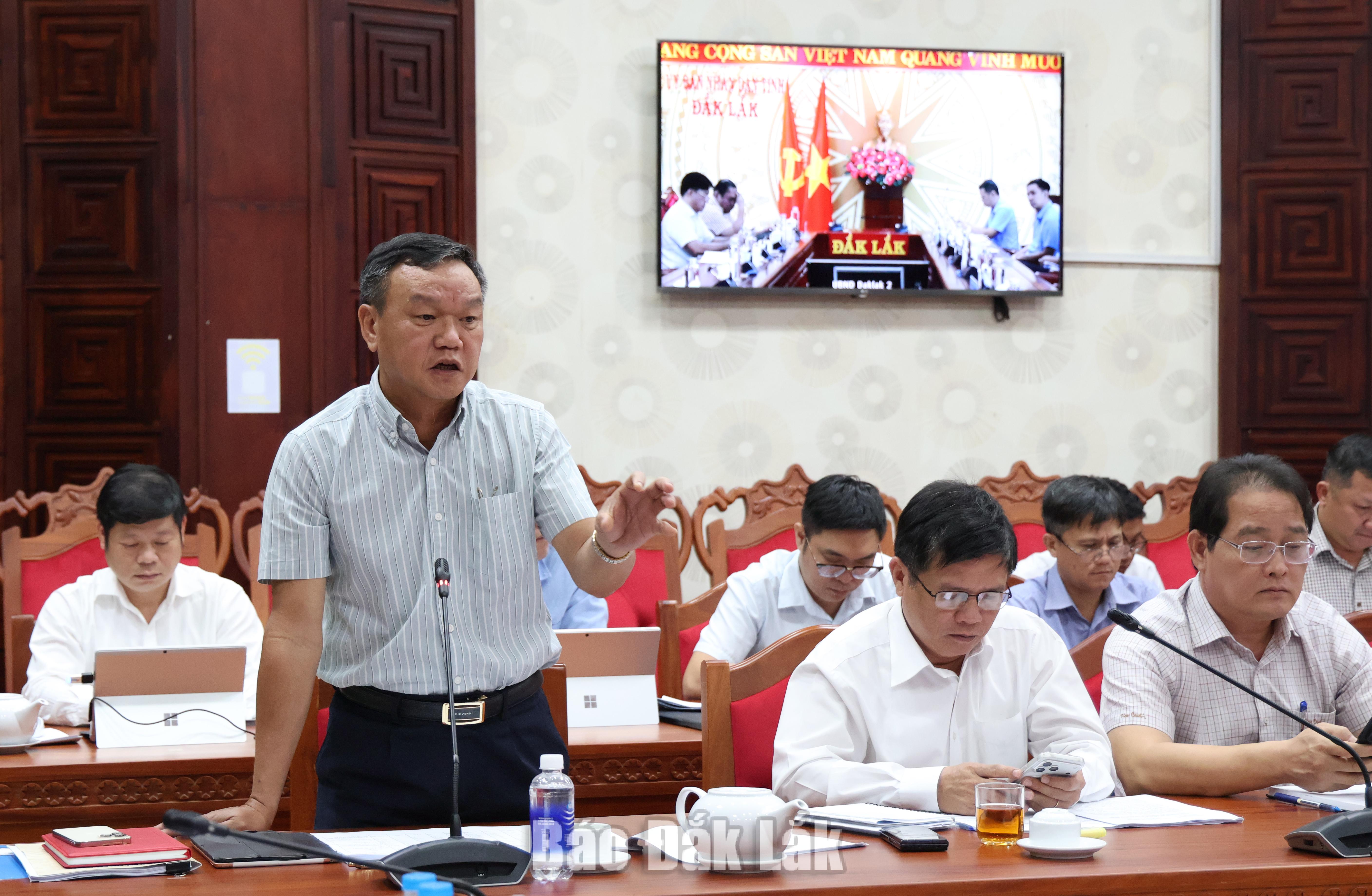 Phó Chủ tịch UBND tỉnh Đào Mỹ nêu ý kiến tại cuộc họp.
