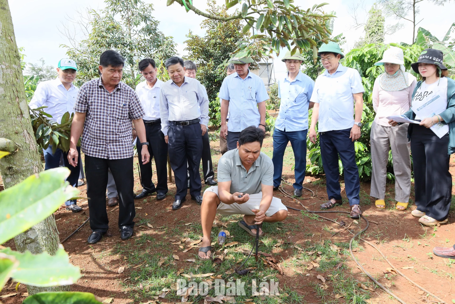 Mô hình tưới phun mưa cục bộ của hộ ông Y Niu Niê tại buôn Gha Mah (xã Krông Pắc).