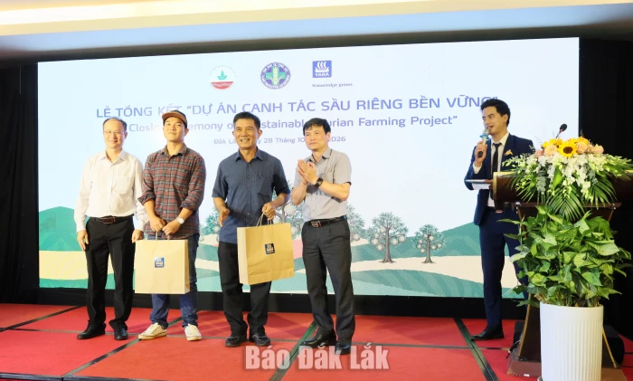 Năng suất sầu riêng tăng hơn 11% nhờ mô hình canh tác bền vững