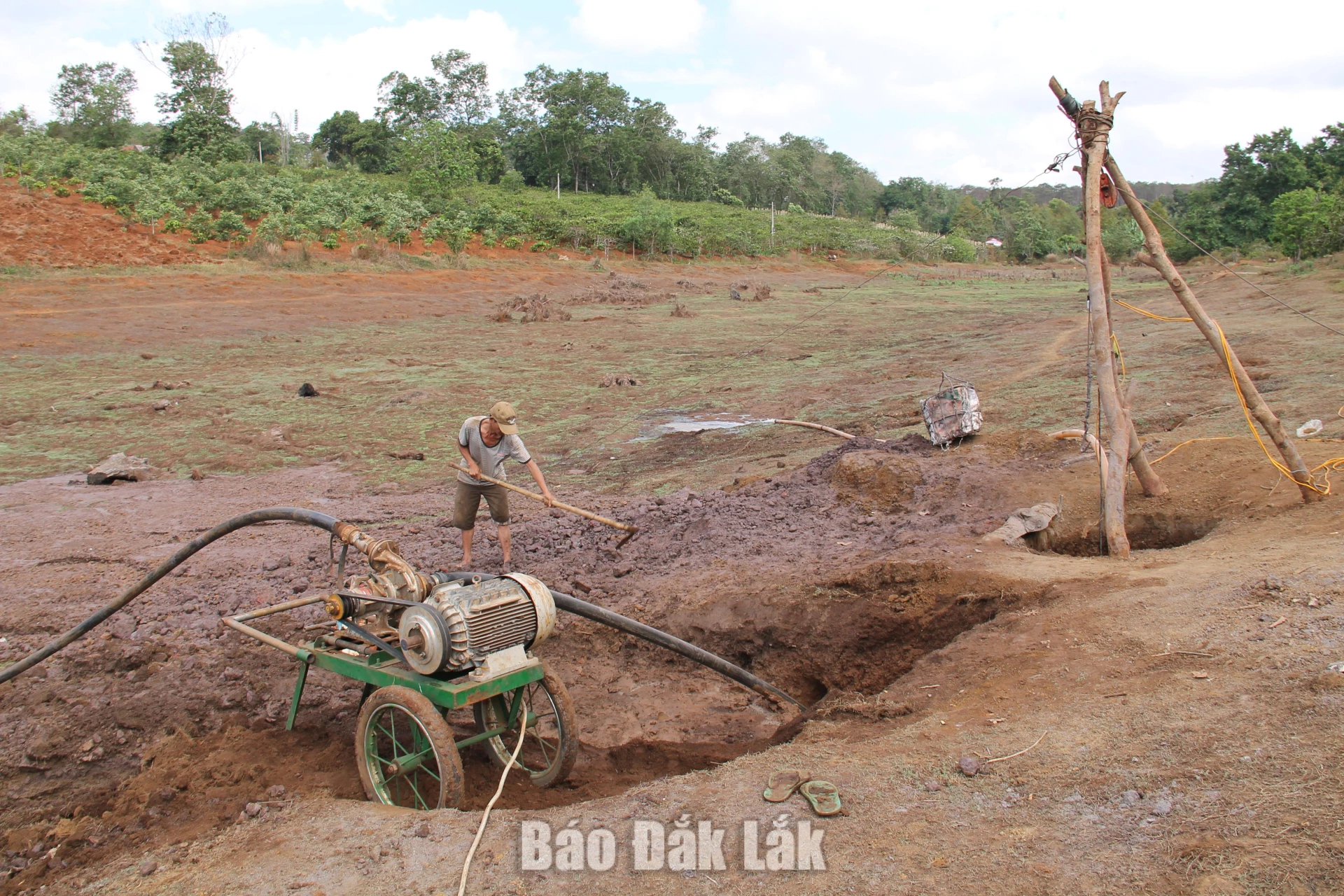 Nông dân khu vực huyện Ea Hleo (cũ) tìm kiếm nguồn nước dưới lòng đất để chống hạn cho cây cà phê trong đợt El Nino năm 2015. 