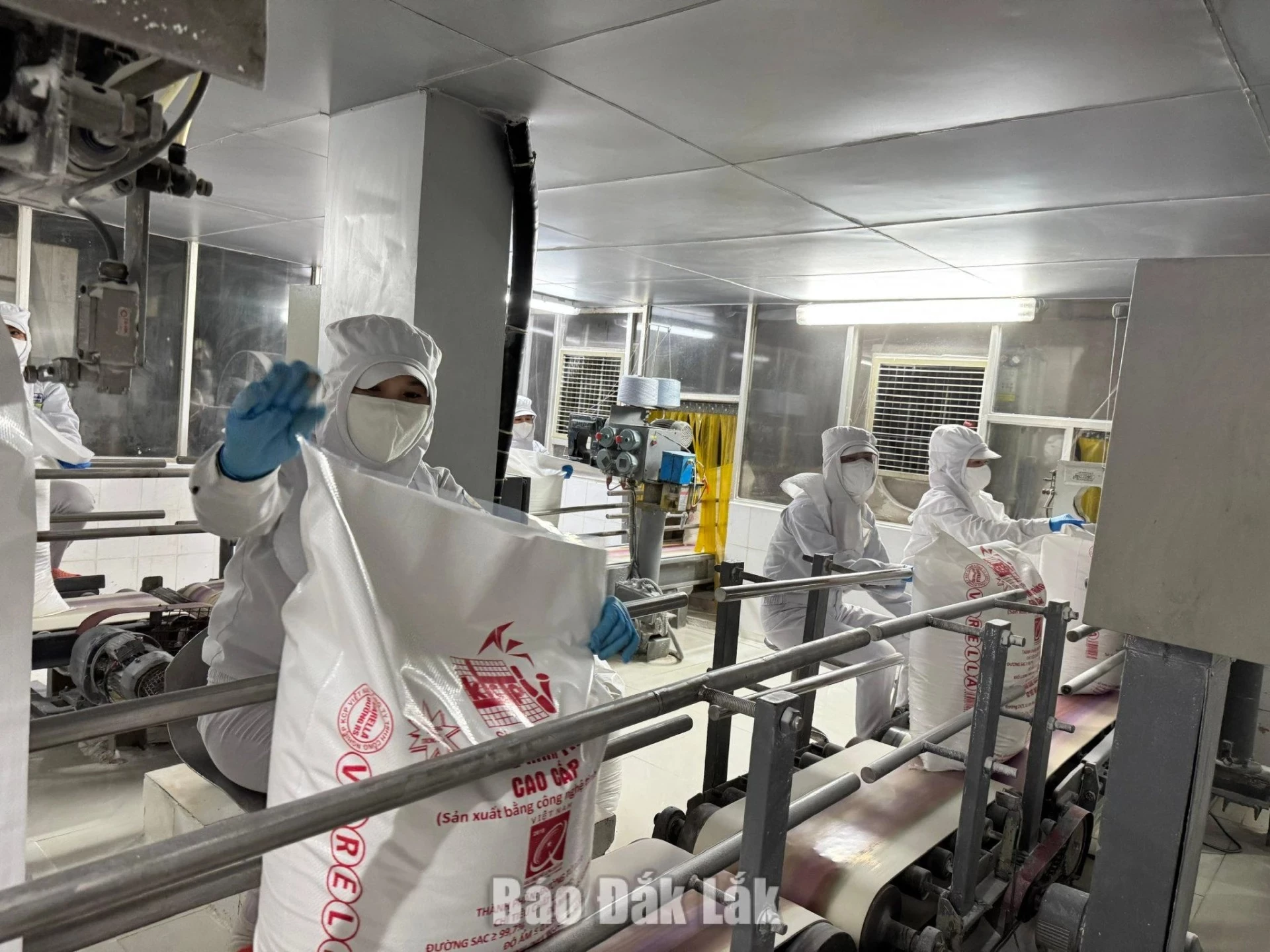 Sugar production at KCP Vietnam Industrial Co., Ltd.