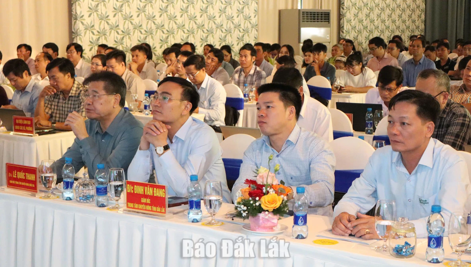 Các đại biểu tham dự hội nghị