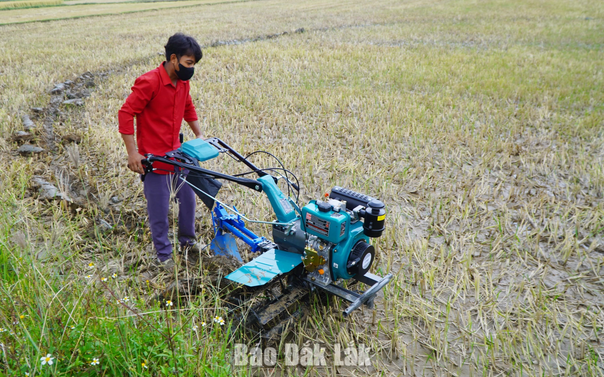 Người dân xã Phú Mỡ sử dụng máy cày đa năng làm ruộng.
