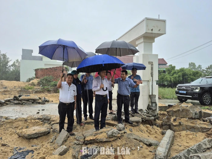 Phó Chủ tịch UBND tỉnh Đào Mỹ cùng đoàn công tác kiểm tra khu vực vừa được xã Ô Loan giải tỏa xong.