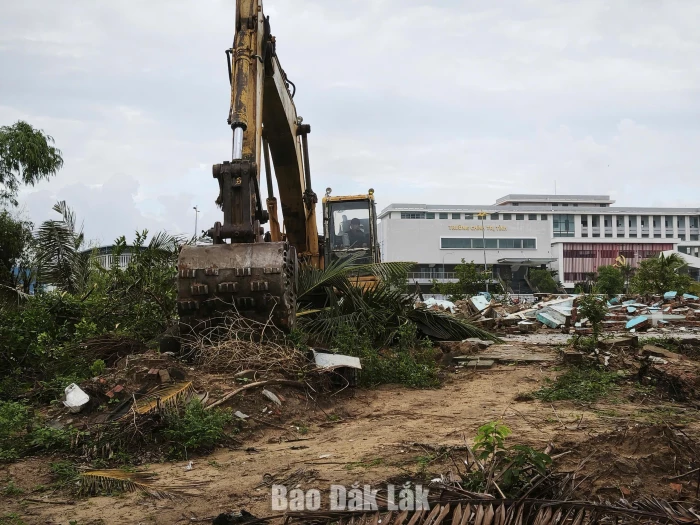 Ban cưỡng chế tiến hành tháo dỡ cây cối trên khu vực đất thu hồi.