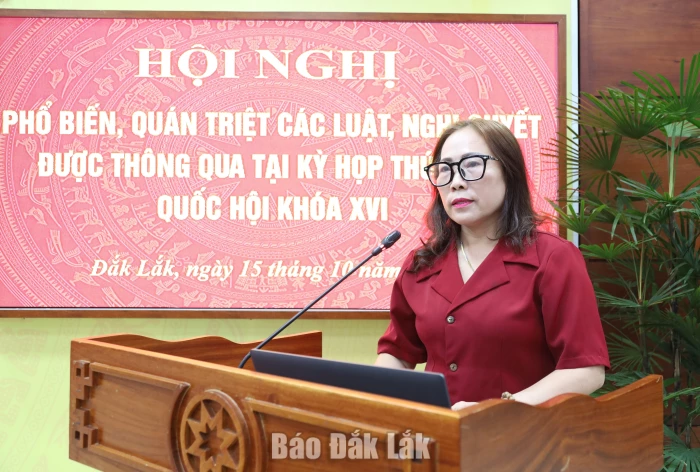 Bà Phan Thị Hoa, Phó Giám đốc Sở Tư pháp tham gia thảo luận.