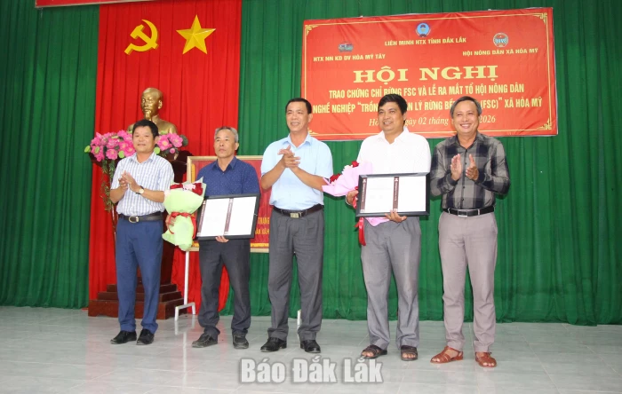Xã Hòa Mỹ: Nâng cao giá trị rừng trồng