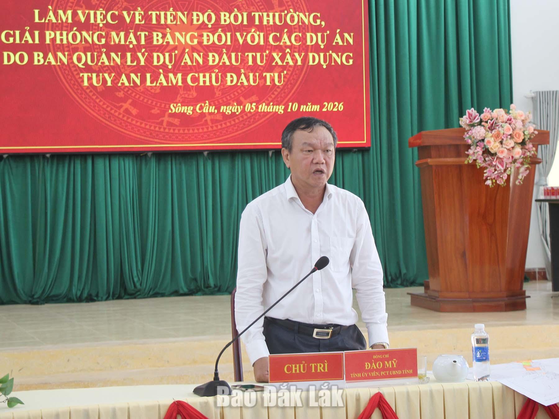 Phó Chủ tịch UBND tỉnh Đào Mỹ phát biểu kết luận tại cuộc họp.