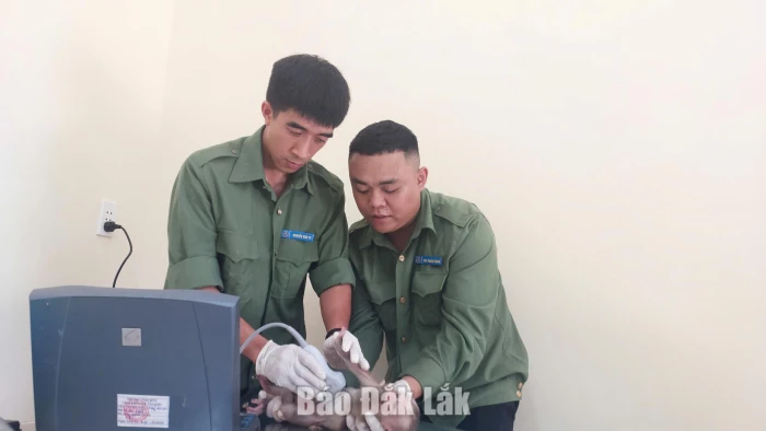 “Bảo mẫu” của động vật hoang dã