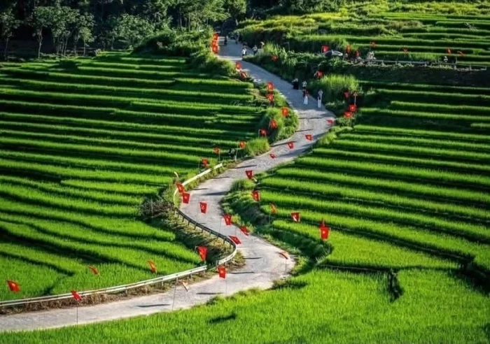 Travel firms drive tourist flows, boost tourism value