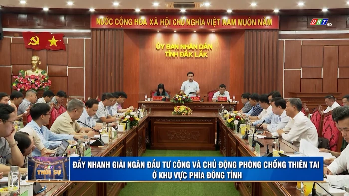 Thời sự 11h30 ngày 11/10/2026