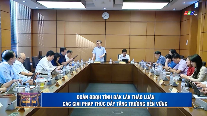 Thời sự 11h30 ngày 19/10/2026