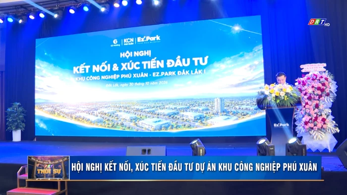 Thời sự 11h30 ngày 31/10/2026