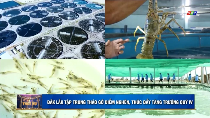 Thời sự 11h30 ngày 5/10/2026