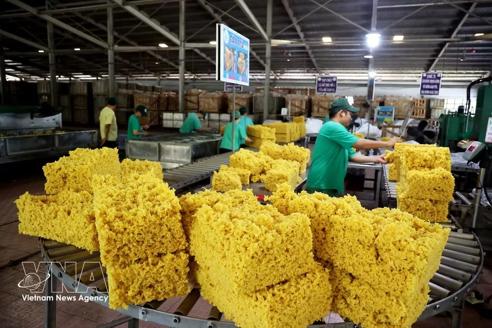 A factory of Dau Tieng Rubber Corporation (Photo: VNA)