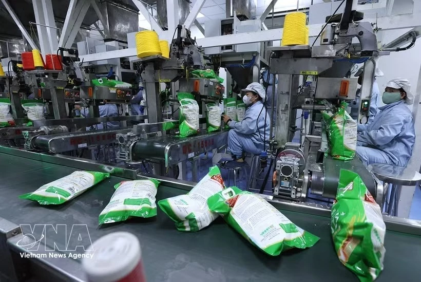 Packing rice for export at Vinh Phat Wilmar Rice Company factory, Binh Duc ward, An Giang province. (Photo: VNA)