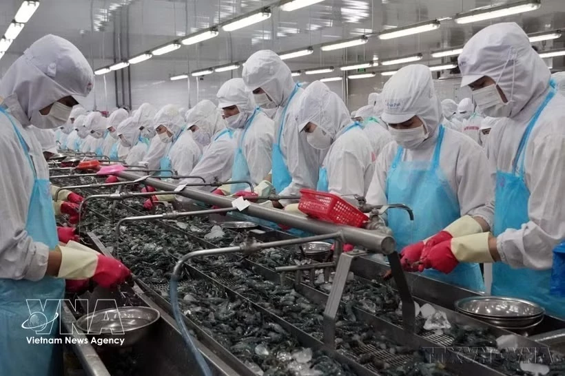The fisheries sector is among those expected to benefit significantly when VEFTA takes effect. (Photo: VNA)